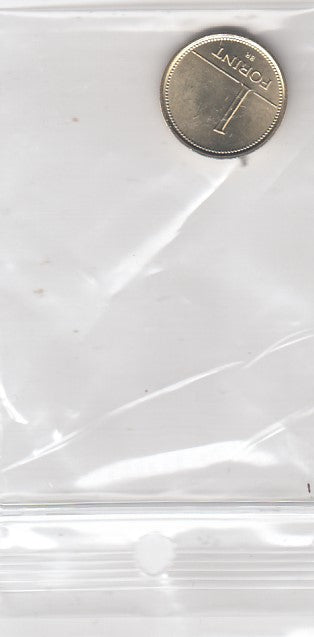 S11-SL1-0017-M88 Hungary 1 Forint 2007  MS63 KM692