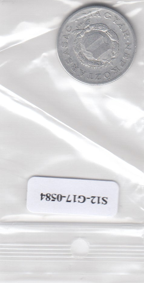 S12-G17-0584 Hongarije 1 forint 1969  VF
