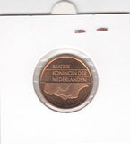 S19-NED-0105 Netherlands 5 Cent UNC 1993 KM202