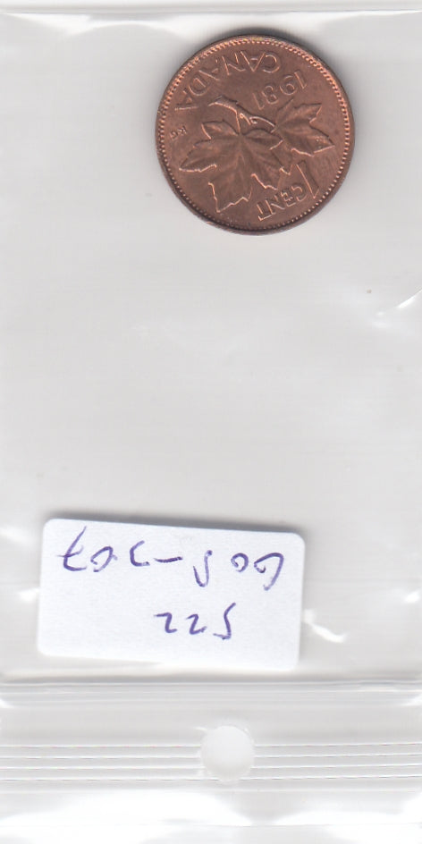 S22-G08-0307 Canada 1 cent XF 1981 KM127
