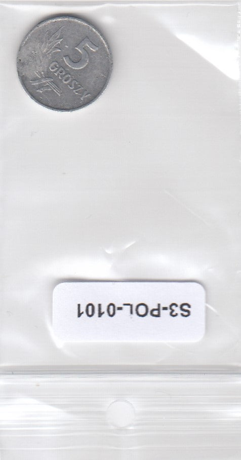 S3-POL-0101-01 Polen 5 groszy 1962  FI Y# A46