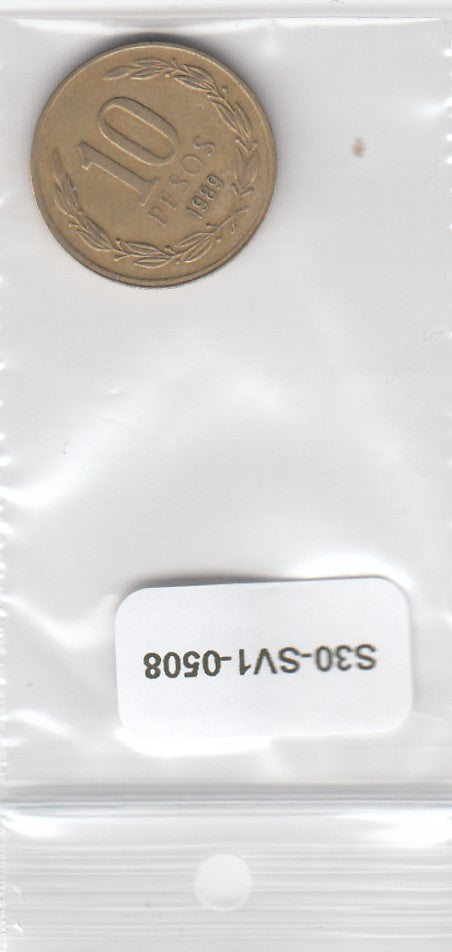 S30-SV1-0508 Chile 10 Pesos VF 1989 KM218