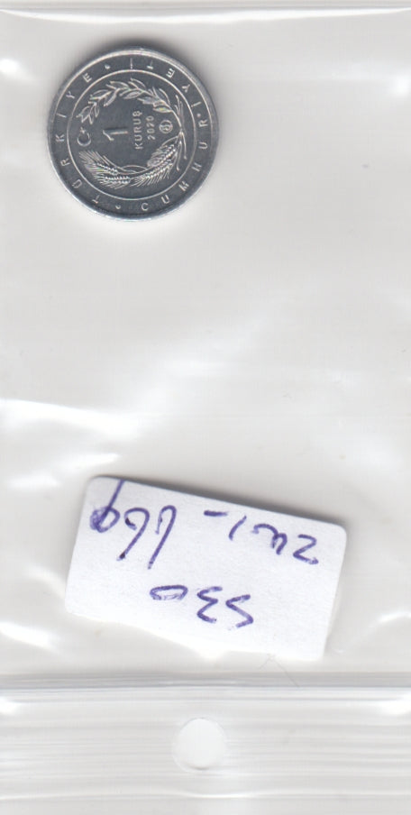 S30-ZWI-0669-M17 Turkey 1 Kurus UNC 2020 KM1459  Black-winged stilt